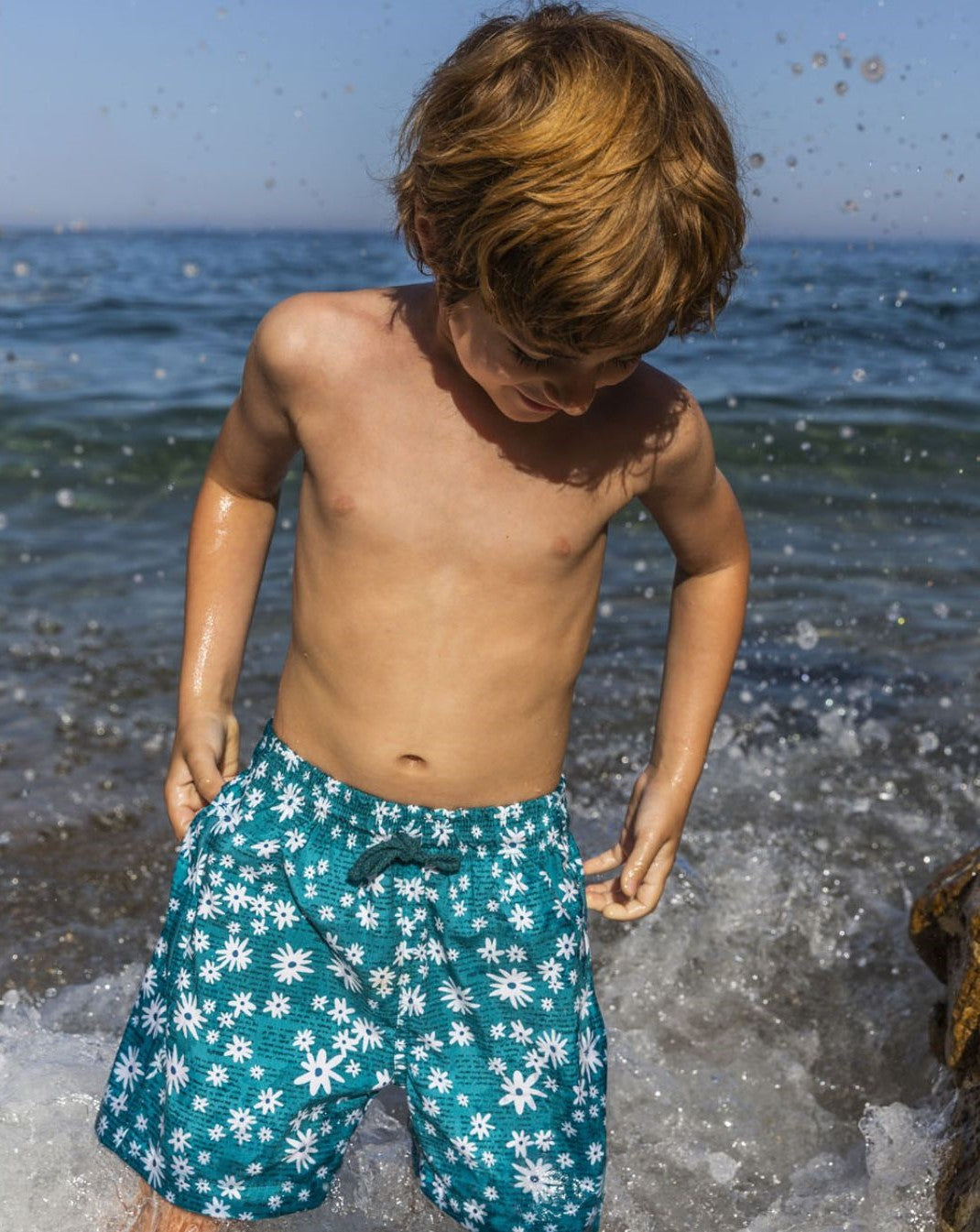 BOXER SURF NEWS