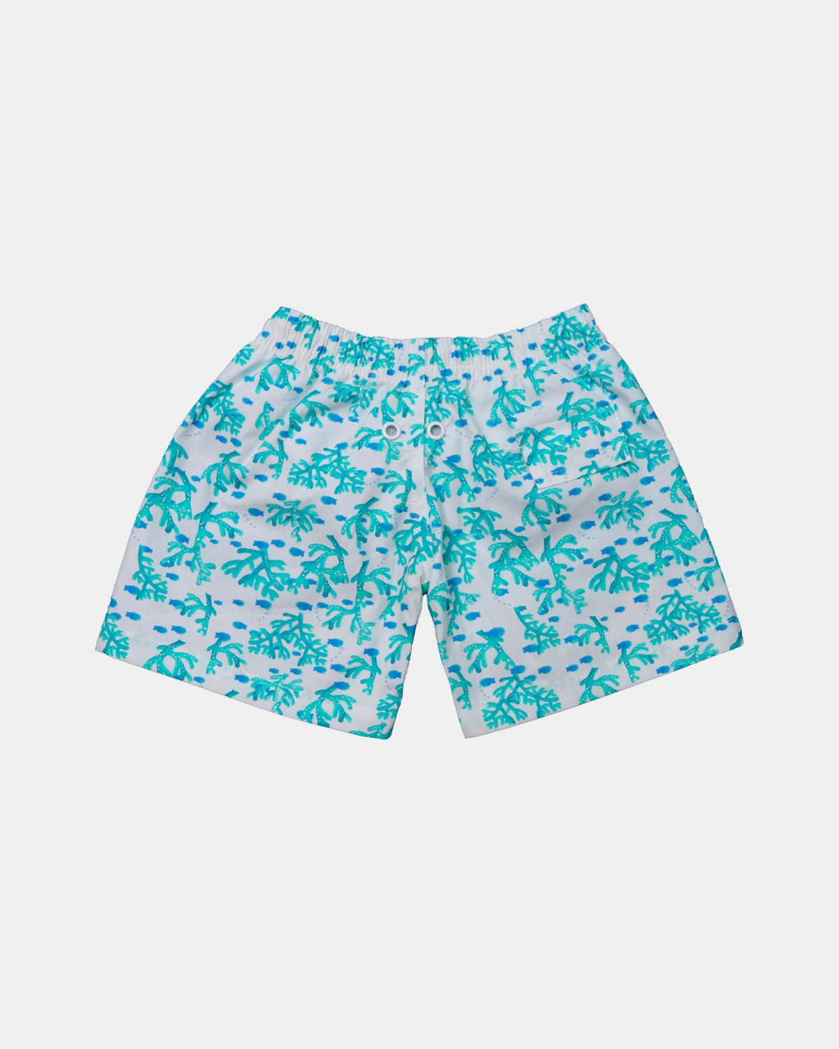 BOXER SURF PAPA CORAL