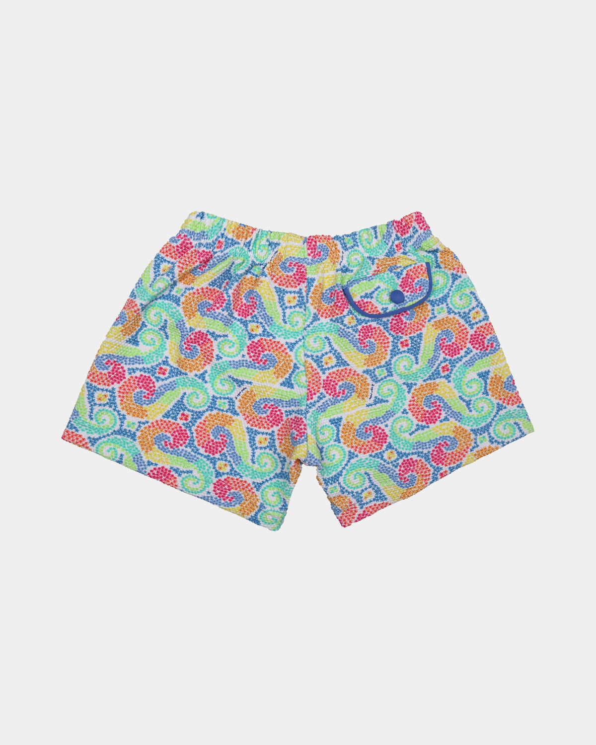 BOXER GAUDI IN LYCRA
