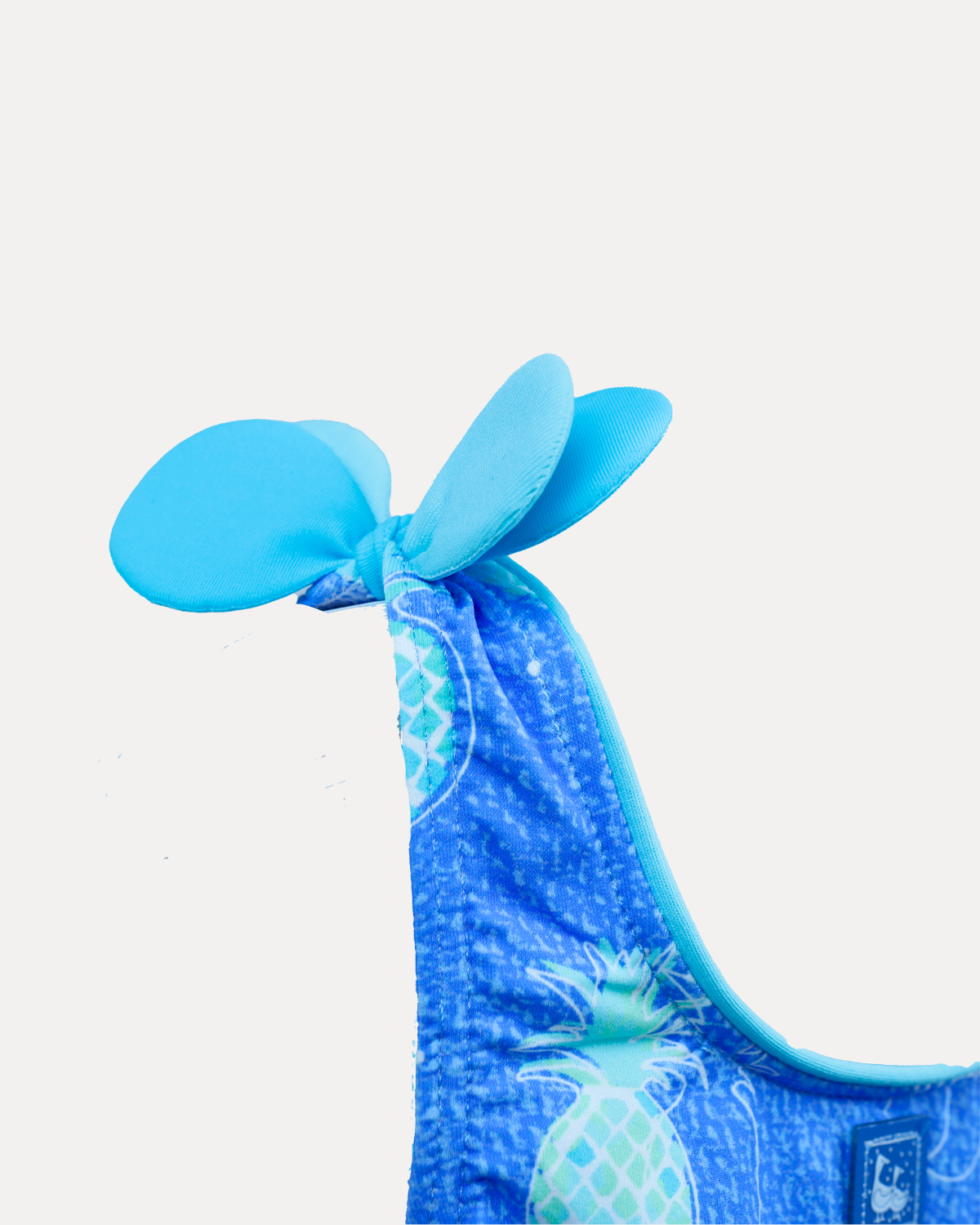 BAÑADOR LYCRA PIÑAS