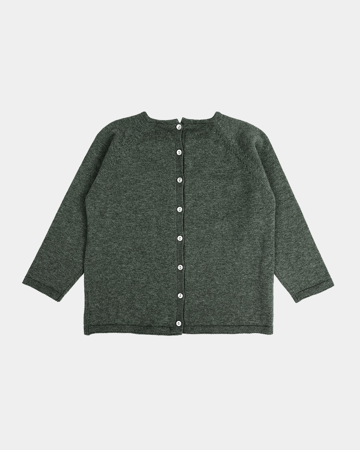 JERSEY ADULTO ALEX CAQUI