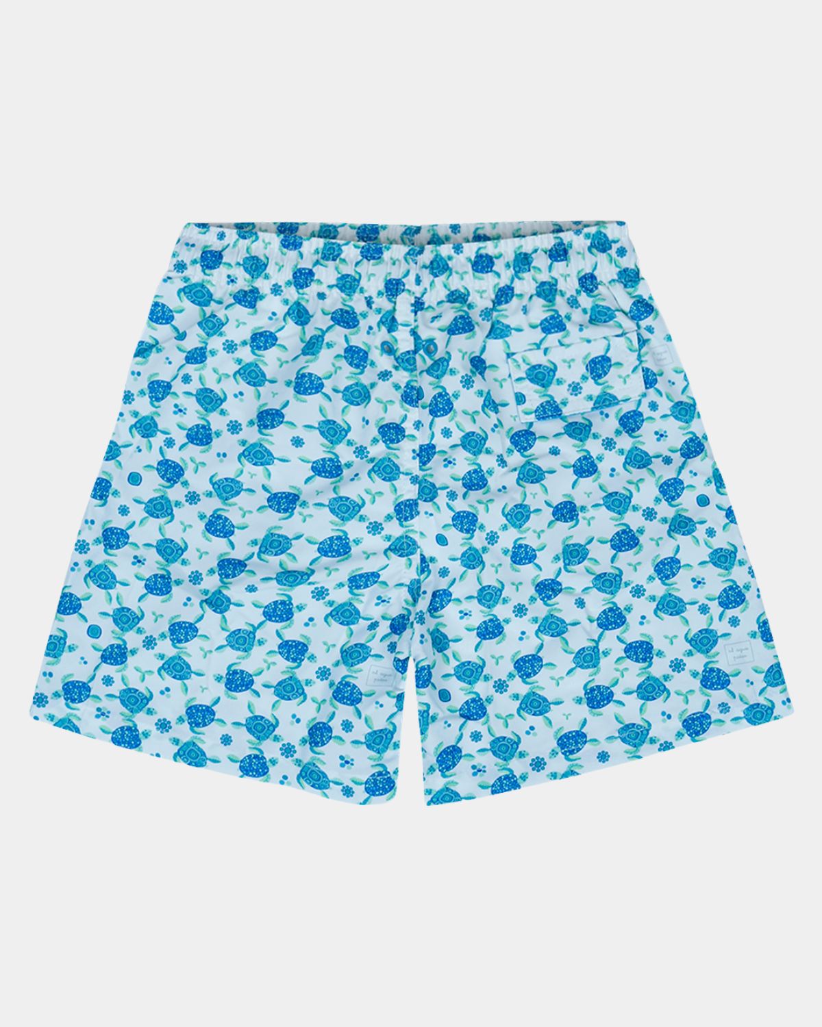 BOXER SURF DAD TURTLES BLUE